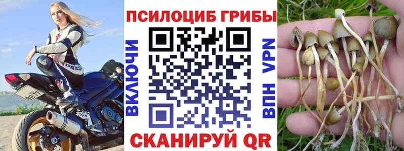 Галлюциногенные грибы Psilocybe  продажа наркотиков  Протвино 