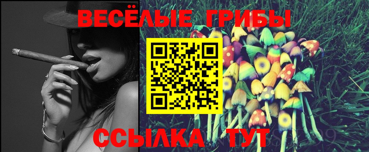 Протвино  Псилоцибиновые грибы GOLDEN TEACHER  Вход с VPN 