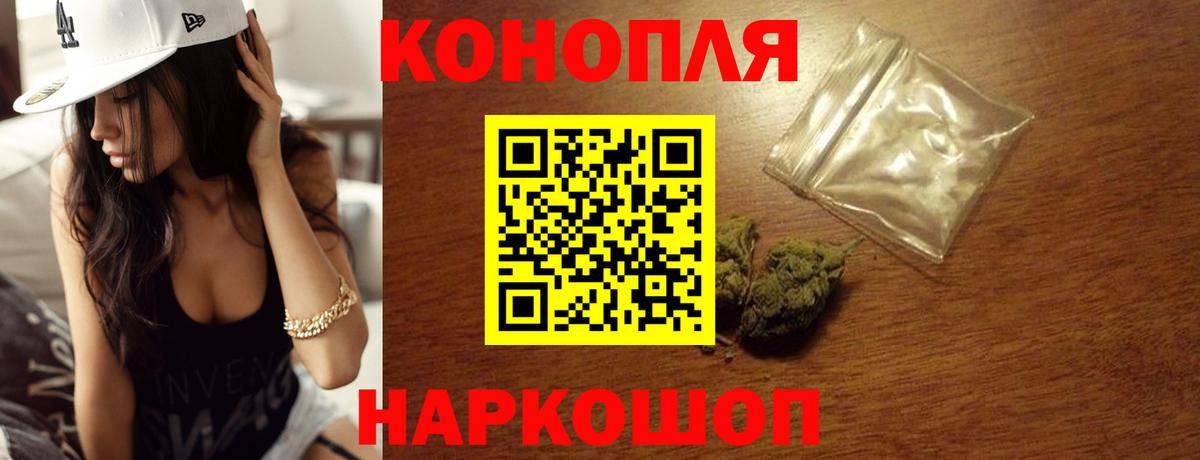 Каннабис индика Протвино